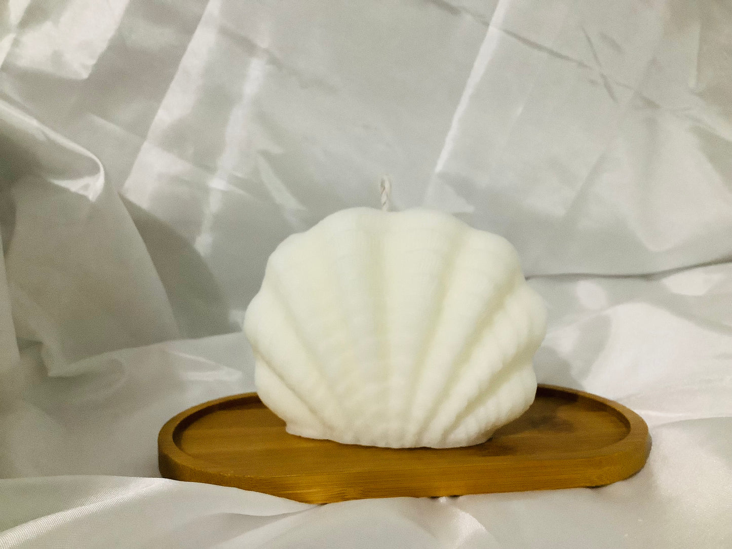 Seashell