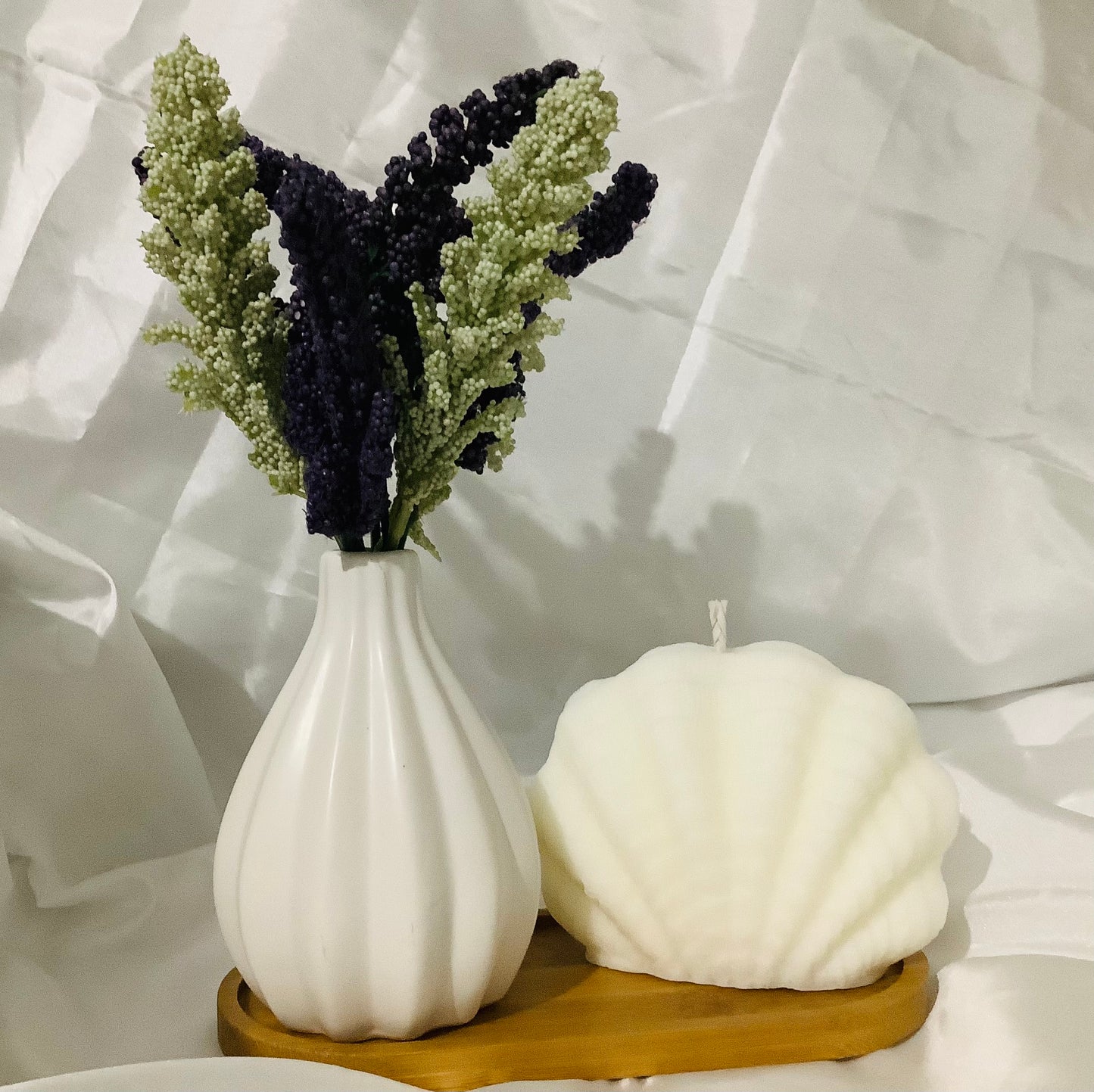 Seashell